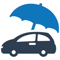 Icon Image